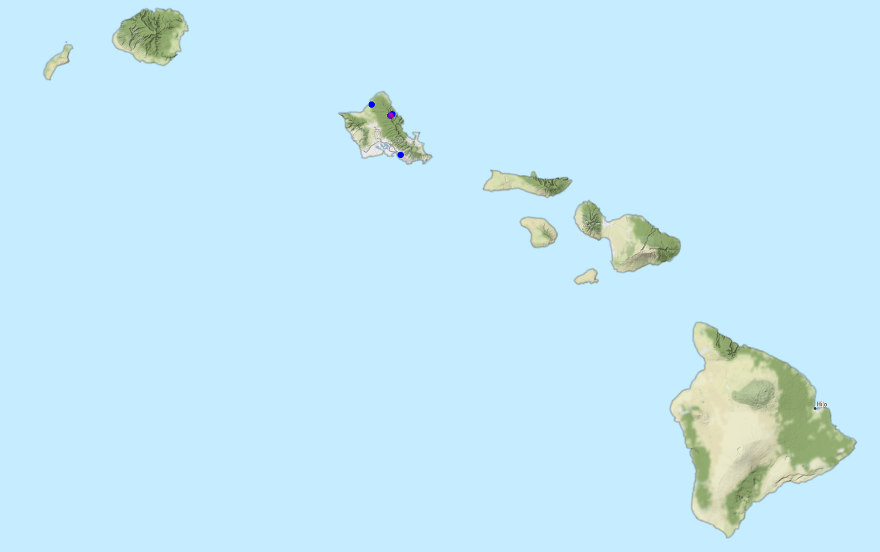 where plant found