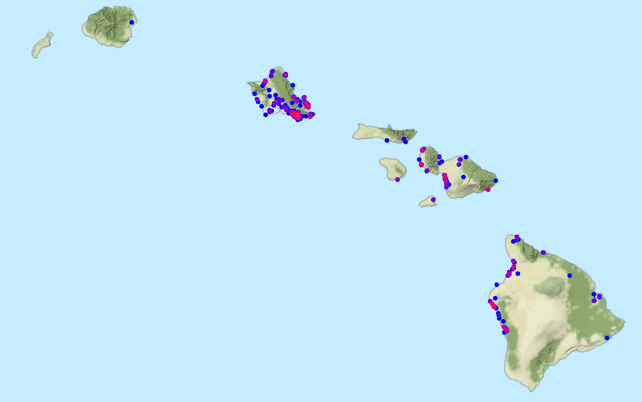 where plant found